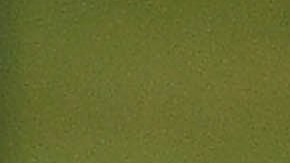 Romano Benito Floriani Mussolini