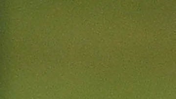 Romano Benito Floriani Mussolini