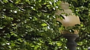 El representante Jamaal Bowman junto  a cientos de jóvenes activistas climáticos en Lafayette Square en el lado norte de la Casa Blanca, el 28 de junio de 2021, para exigir que el presidente   Joe Biden dé el impulso para convertir el Green New Deal en ley.