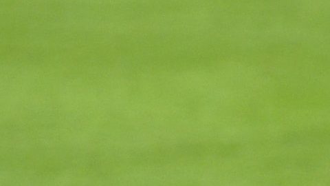 Selección Brasil