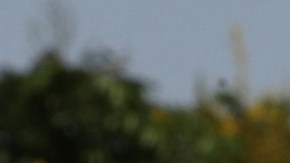 Britney Spears agradece el apoyo del movimiento #FreeBritney