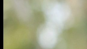 Yalitza Aparicio speaks onstage during the Hollywood Walk of Fame Star Ceremony for Alejandro Sanz.