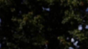 Miles de inmigrantes han realizado marchas en D.C. para exigir a congresistas cumplir su promesa a inmigrantes.