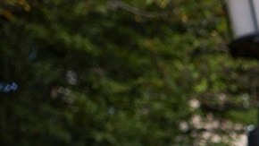 Organizaciones civiles han realizado mítines para presionar al Congreso por una reforma migratoria.