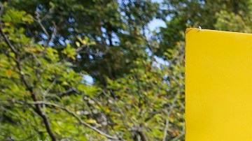 Activistas presionan al Congreso y a la Casa Blanca por una reforma migratoria.