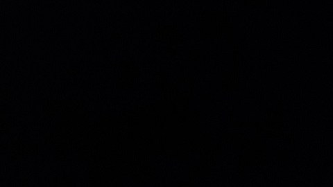 El expresidente Trump sigue con sus afirmaciones de "fraude electoral".