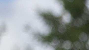 Jubilados Seguro Social