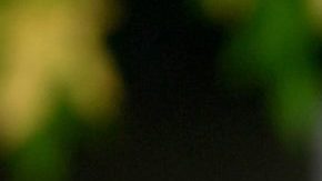 Emma Watson podría abandonar muy pronto su carrera como actriz