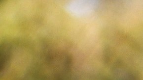 Protesta reforma migratoria Washington