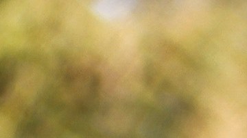 Protesta reforma migratoria Washington