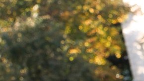 Activistas presionan al presidente Joe Biden para cumplir su promesa de proteger a indocumentados.