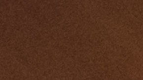 Princesa japonesa Mako se casa con plebeyo por amor y renuncia a la realeza