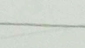 Policía del Virginia