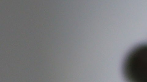 Campo de tiro Florida