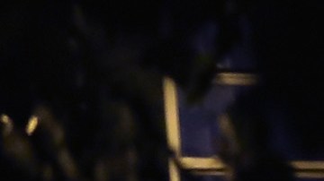 Asesinato en Alamo, Georgia