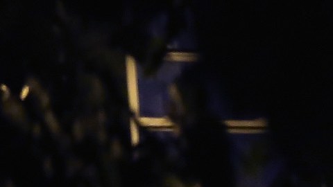 Asesinato en Alamo, Georgia