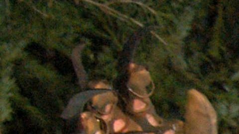 Por Halloween se realizarán tours espaciales dentro de la casa