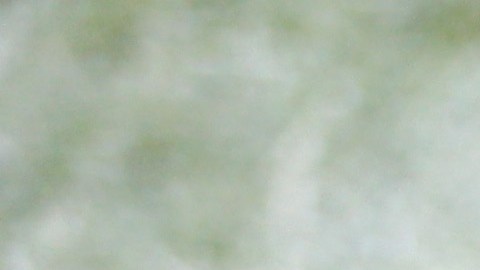 Secundaria de Maine suspende temporada de futbol por “novatada” con juguete sexual