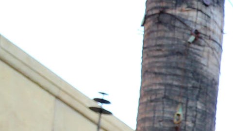 "ATTACK ON TITAN" World Premiere