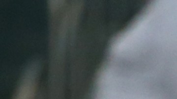 Pepsi Super Bowl 50 Halftime Show