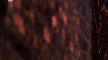 Investigación de mujer desaparecida