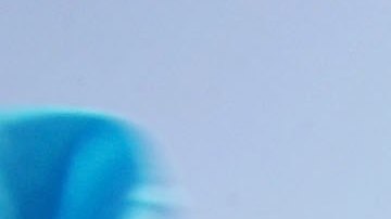 latinoamericanos en estados unidos