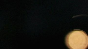 Serie documental de Brittany Murphy revela nuevos detalles sobre su polémica muerte