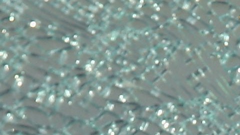 El arma se disparó accidentalmente y mató al niño de 10 años.