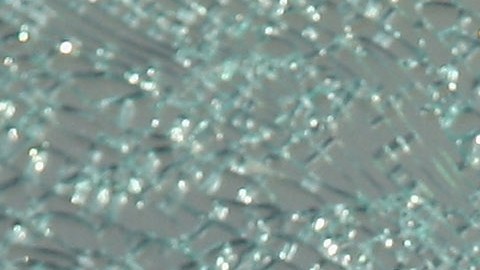 El arma se disparó accidentalmente y mató al niño de 10 años.