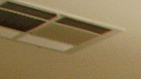 Voto latino en Estados Unidos