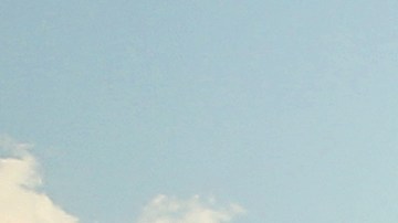 PETA pide a la MLB cambiar el término “bullpen” por considerarlo “insensibles para los animales”