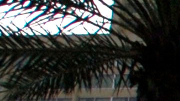 Policía agrede a parapléjico afroamericano