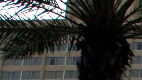 Policía agrede a parapléjico afroamericano