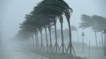 Alertaron este domingo del desarrollo de una tormenta tropical con posibilidades de convertirse en un huracán categoría 1.