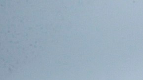 Nueva Jersey enfrenta lluvias e intensos vientos, aunque con menos fuerza en Jersey City y zonas aledañas.