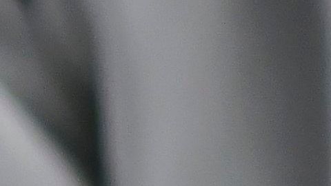 Cráneo humano
