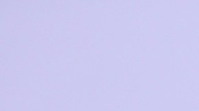 Bill Murray se une al reparto de 'Ant-Man and the Wasp: Quantumania'