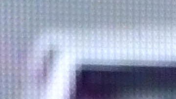 Giselle Blondet junto a Greidys Gil y Migbelis Castellanos