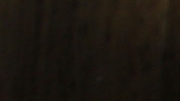 Hongos para la depresión