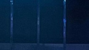 Adamari López, Mariana Seoane y Cristián de la Fuente