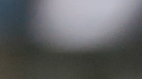 Ken Griffey Jr. compra una parte de los Marineros de Seattle