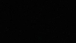 Jugadores celebran junto al águila, mascota del club.