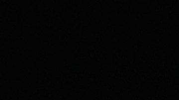 Jugadores celebran junto al águila, mascota del club.