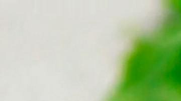 Licuado para la hipertensión