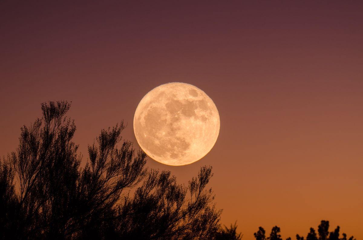 Full moon or “hunter’s”: the best diet to counteract its effects