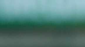 IAAF World Junior Championships - Day 3