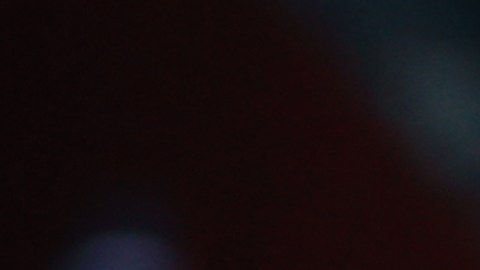 El "Piojo" Herrera envió mensaje de motivación a sus Tigres