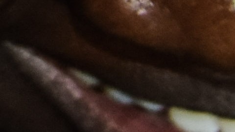 En África, más de 260,000 niños mueren al año a causa de la malaria.