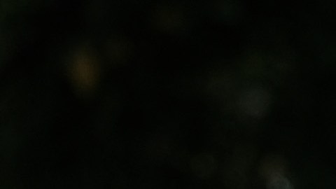 En las protestas por las muertes en las cárceles se han criticado los serios problemas en la atención de la salud mental de los detenidos.