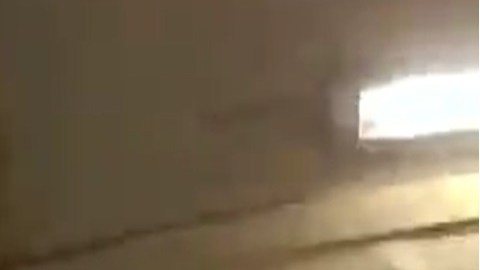 El sujeto no logró escapar del oficial del NYPD.